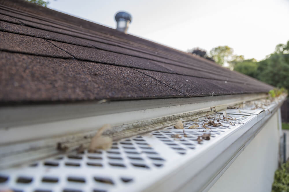 Sifting Through the Options: How To Choose the Best Gutter Guards for Your Home