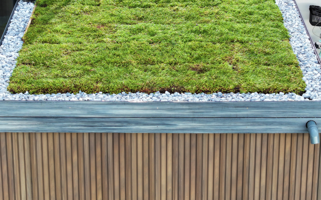 Essential Guide to Flat Roof Home Benefits